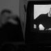 Karsch-Monitor.jpg